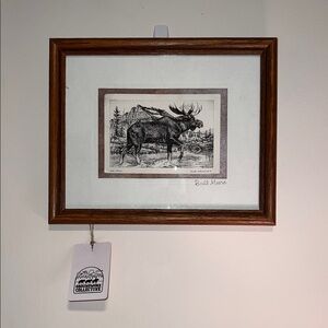 Framed Postcard Art: Bull Moose